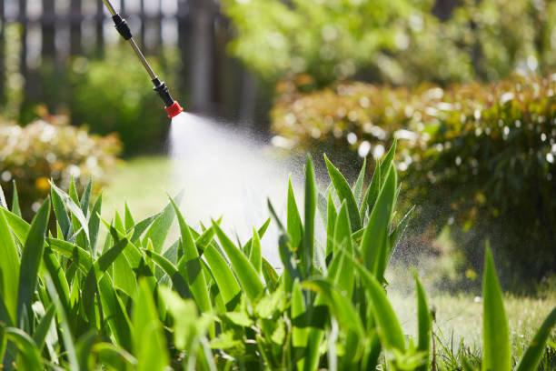24/7 Emergency Mosquito Control experts in Crescent City, CA
