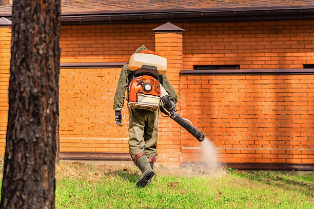 Top rated local Mosquito Control specialists in Crescent City, CA